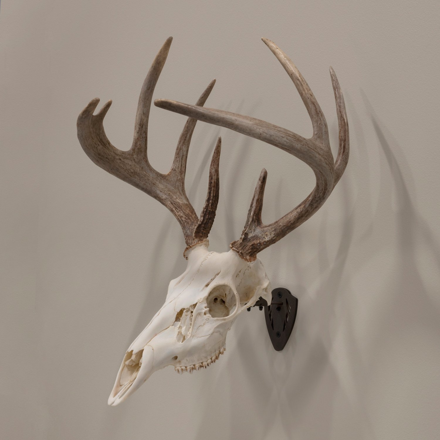 Allen Company EZ Mount Fixed Skull Hanger                                                                                        - view number 5