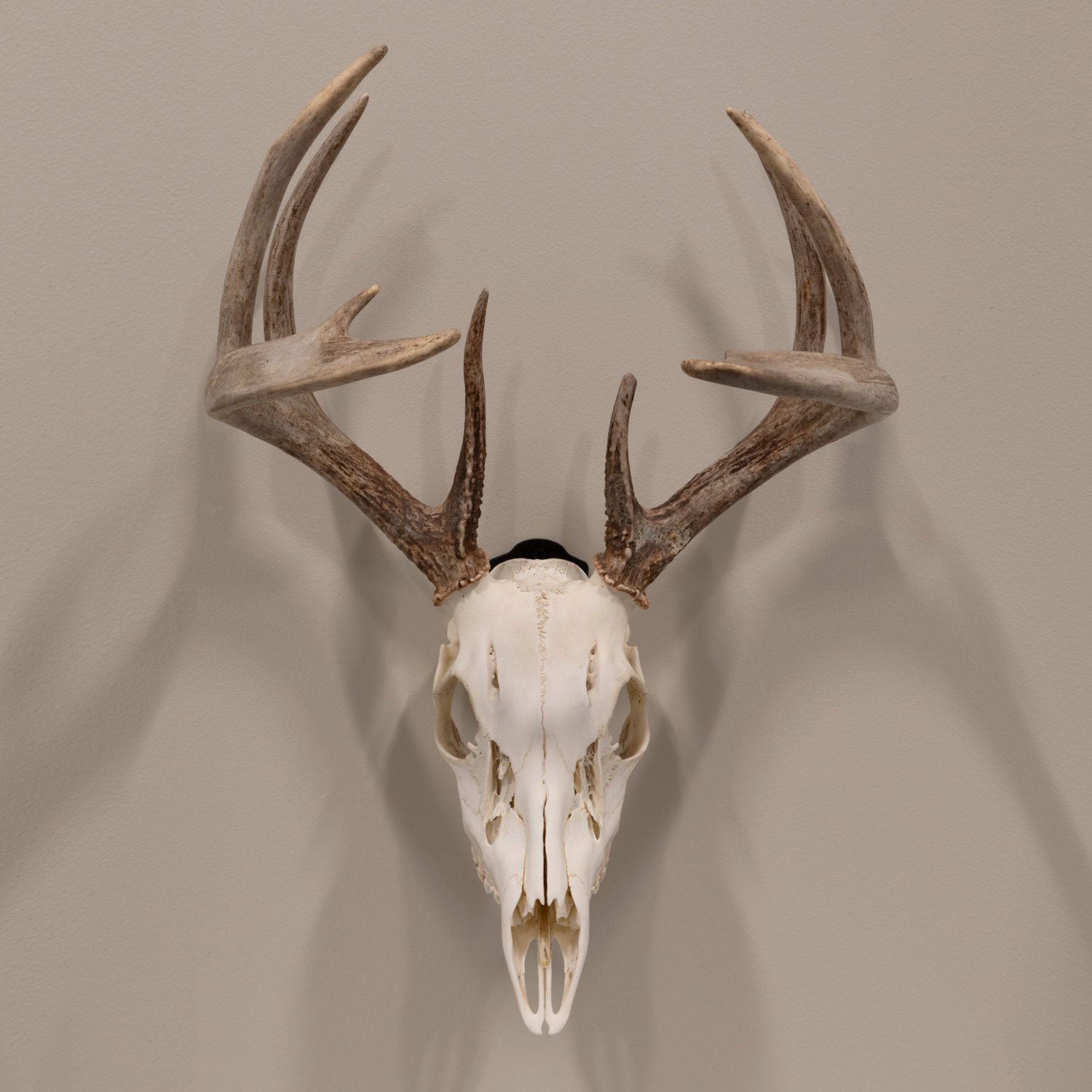 Allen Company EZ Mount Skull Peg Hook - view number 4
