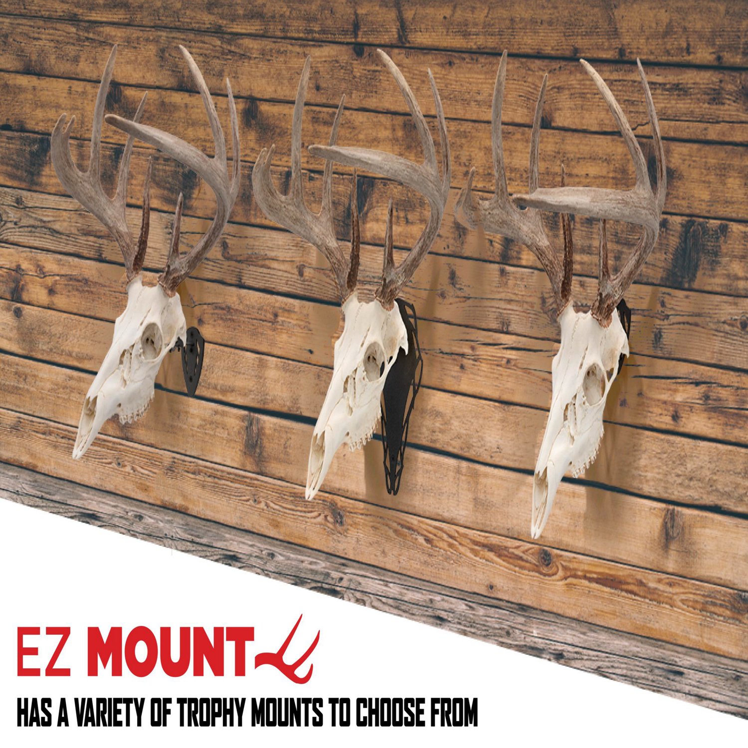 Allen Company EZ Mount Trophy Skull Hanger