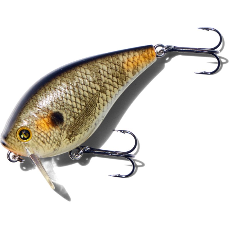 H20X Wake Bait - image