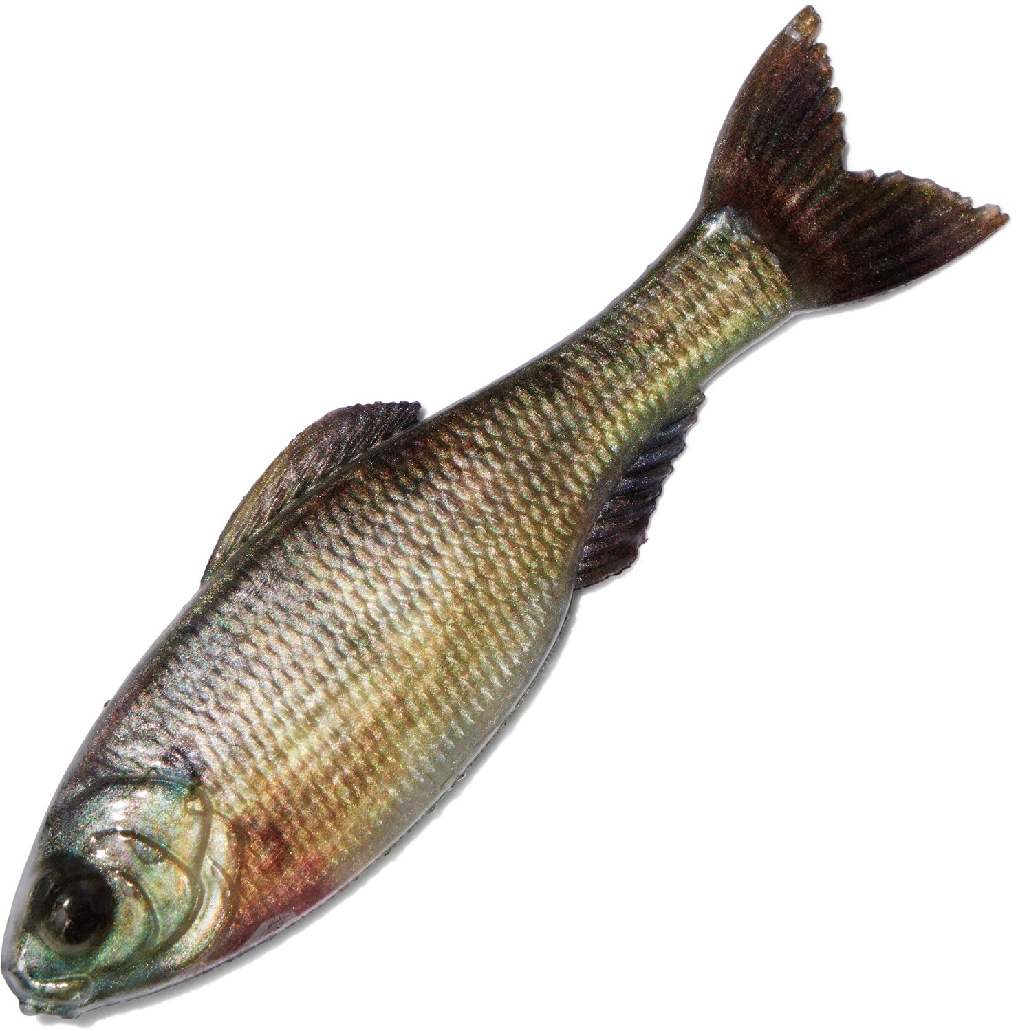 6th Sense Panorama 5 in Soft Baits 3-Pack