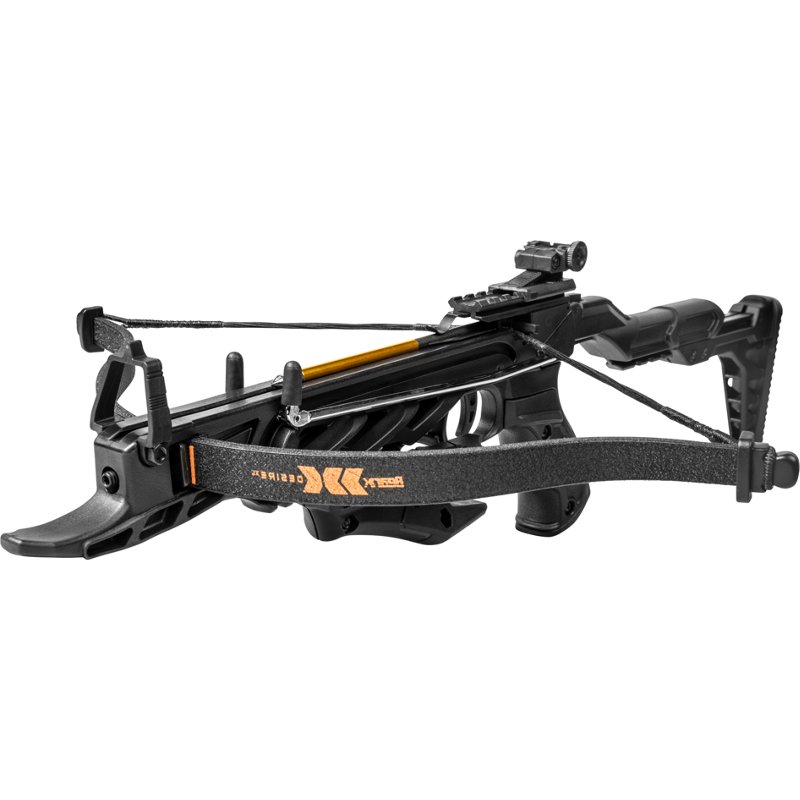 Bear Archery Desire… - image
