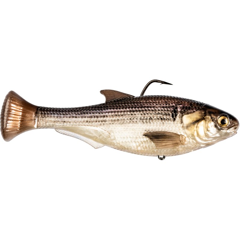 Z-Man Shadtron LT 4.5 in Fast Sink Swimbait Gizzard Shad - Frsh Wtr Soft Plastic at Academy Sports