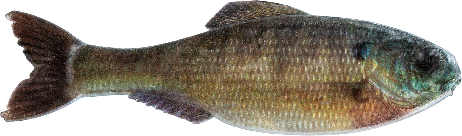 6th Sense Panorama 3.5 in Soft Baits 6-Pack - view number 2