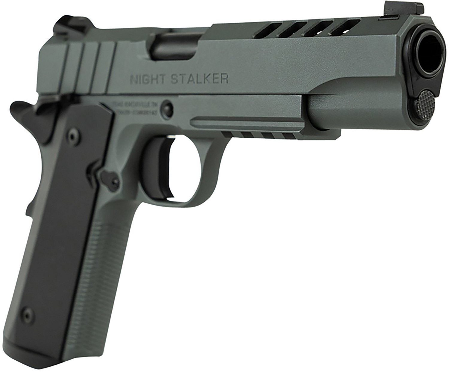 Tisas 1911 Night Stalker .45 ACP Pistol - view number 2
