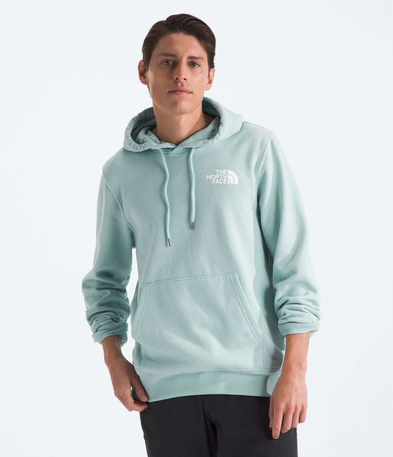 The North Face Men's Box NSE Pullover Hoodie                                                                                     - view number 2