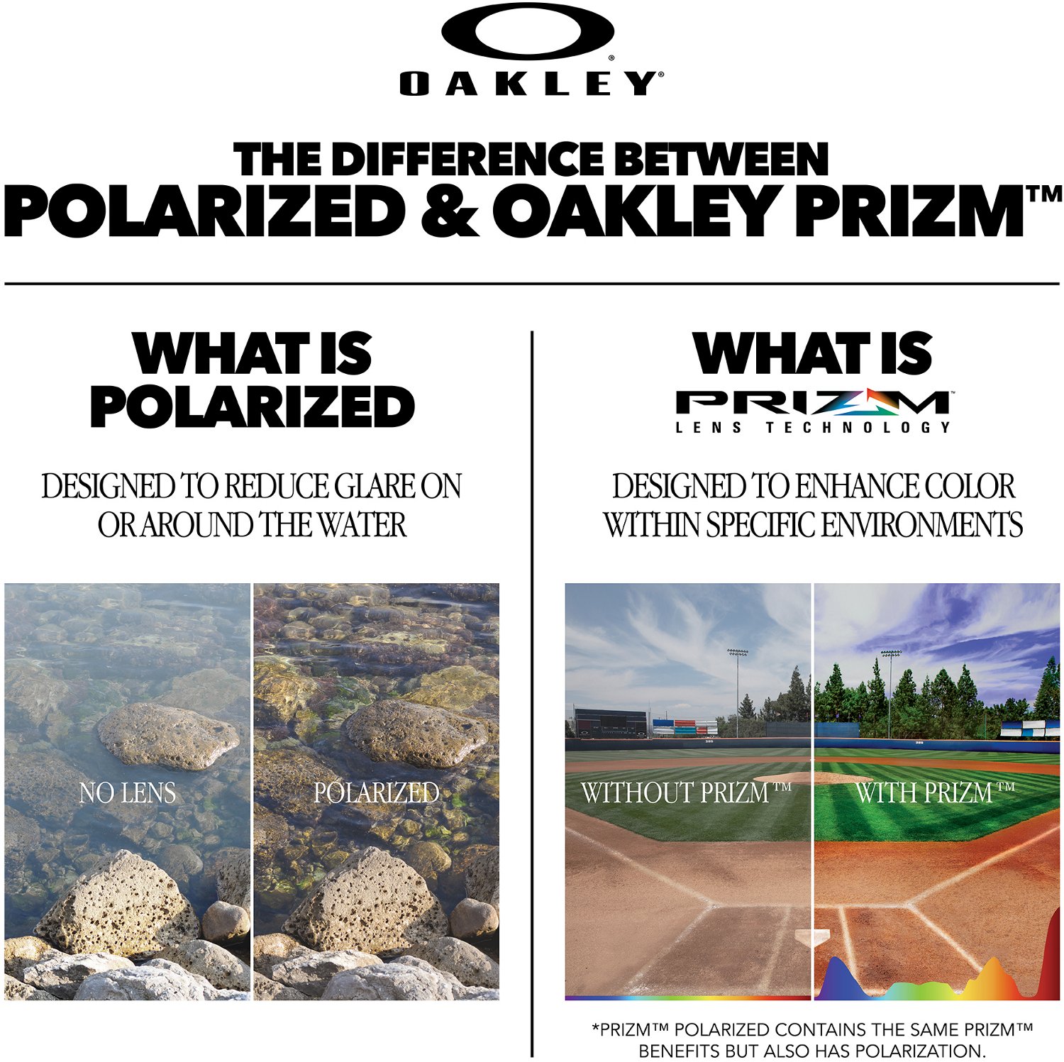 Oakley Radar EV Path UVA/UVB Sunglasses                                                                                          - view number 2
