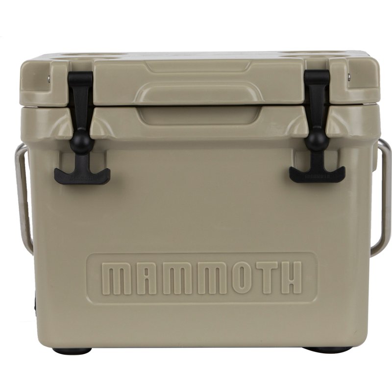 Mammoth Cruiser 20 … - image