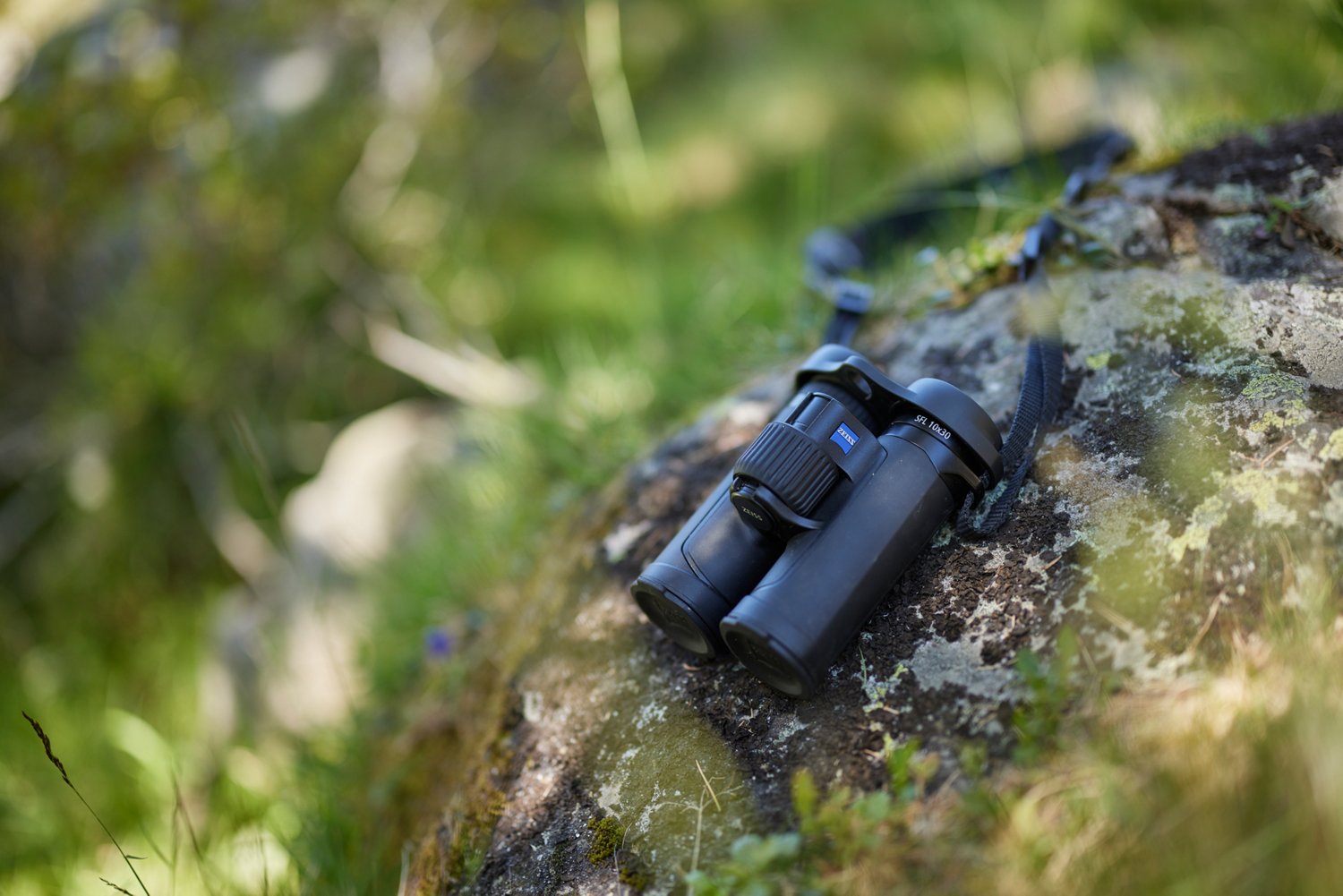 Zeiss SFL 10 x 30 Binoculars - view number 7