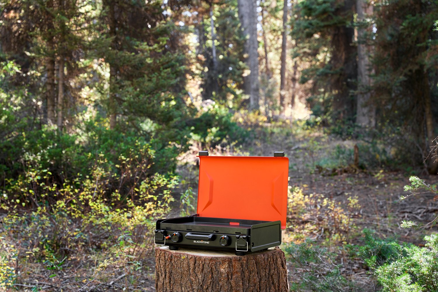 Blackstone x 14-in 2-Burner Propane Camping Griddle