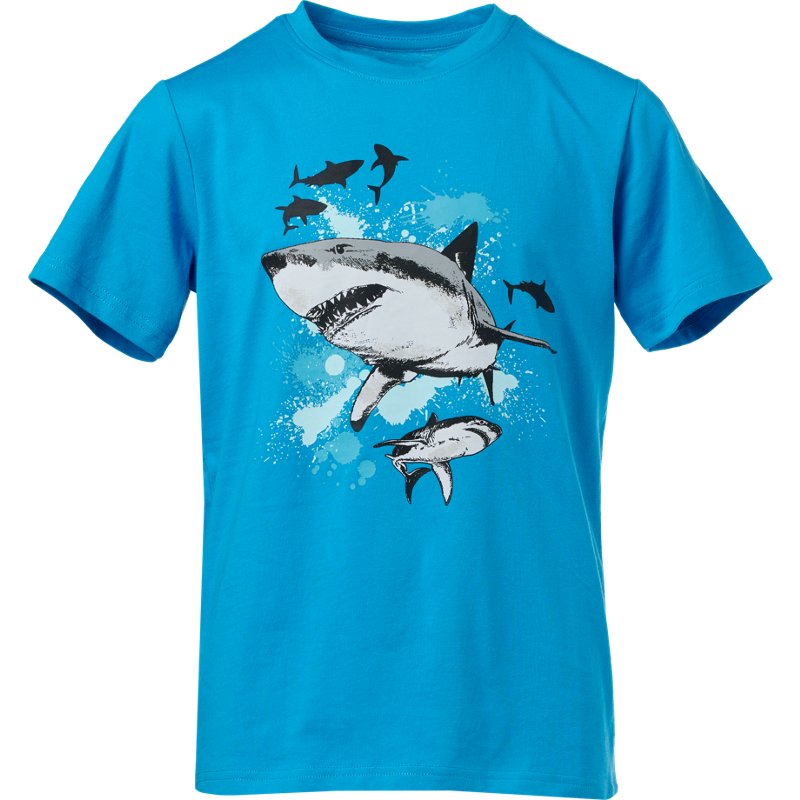 Bcg Boys' Cotton Sh… - image