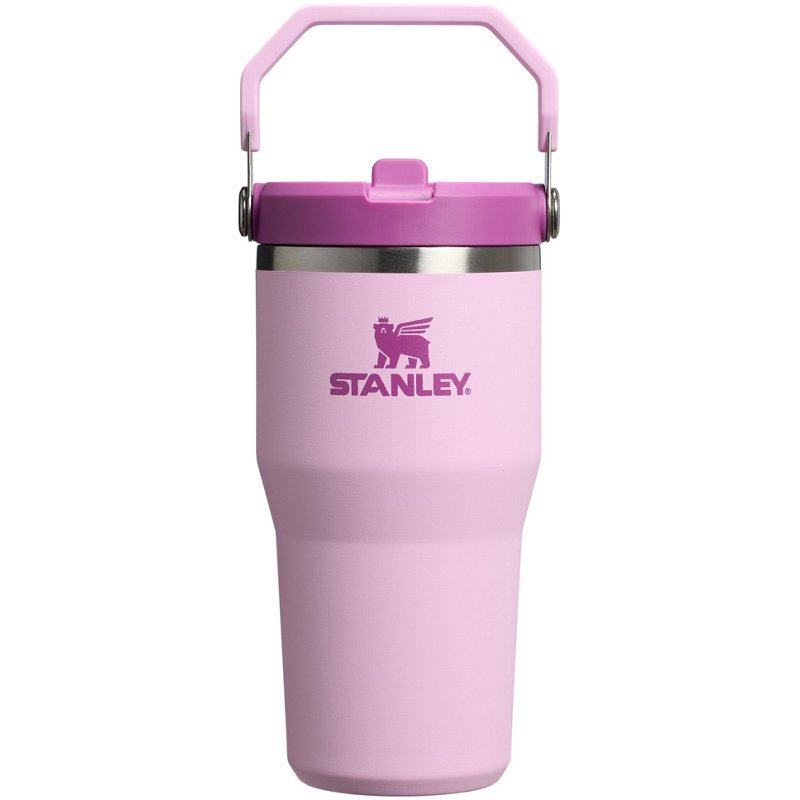 Stanley 20 Oz Icefl… - image