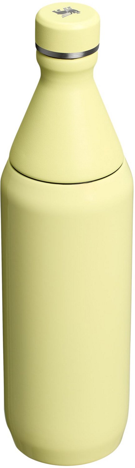 Stanley All Day 20 oz Slim Bottle - view number 2