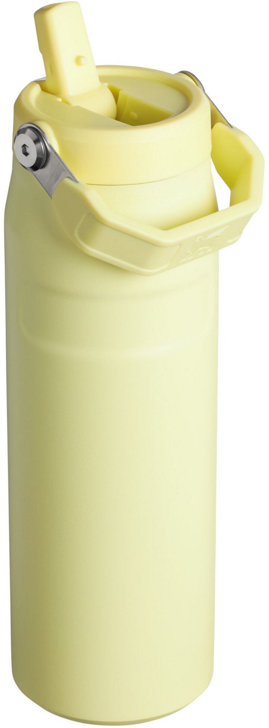 Stanley IceFlow 24 oz Bottle with Flip Straw Lid - view number 2