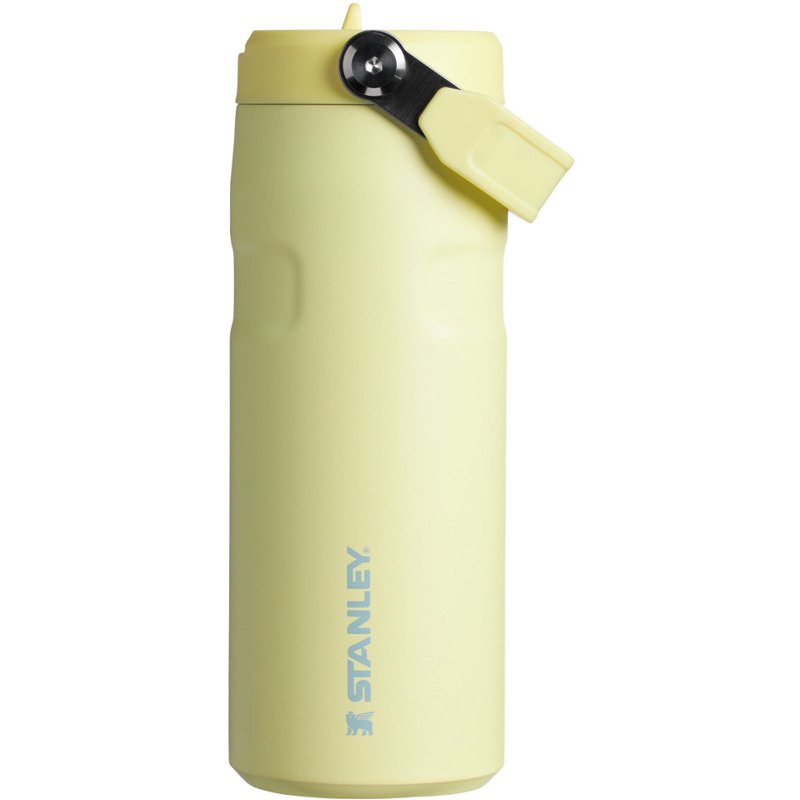 Stanley IceFlow 16 oz. Flip Straw Lid Water Bottle Pomelo - Thermos/Cups &koozies at Academy Sports