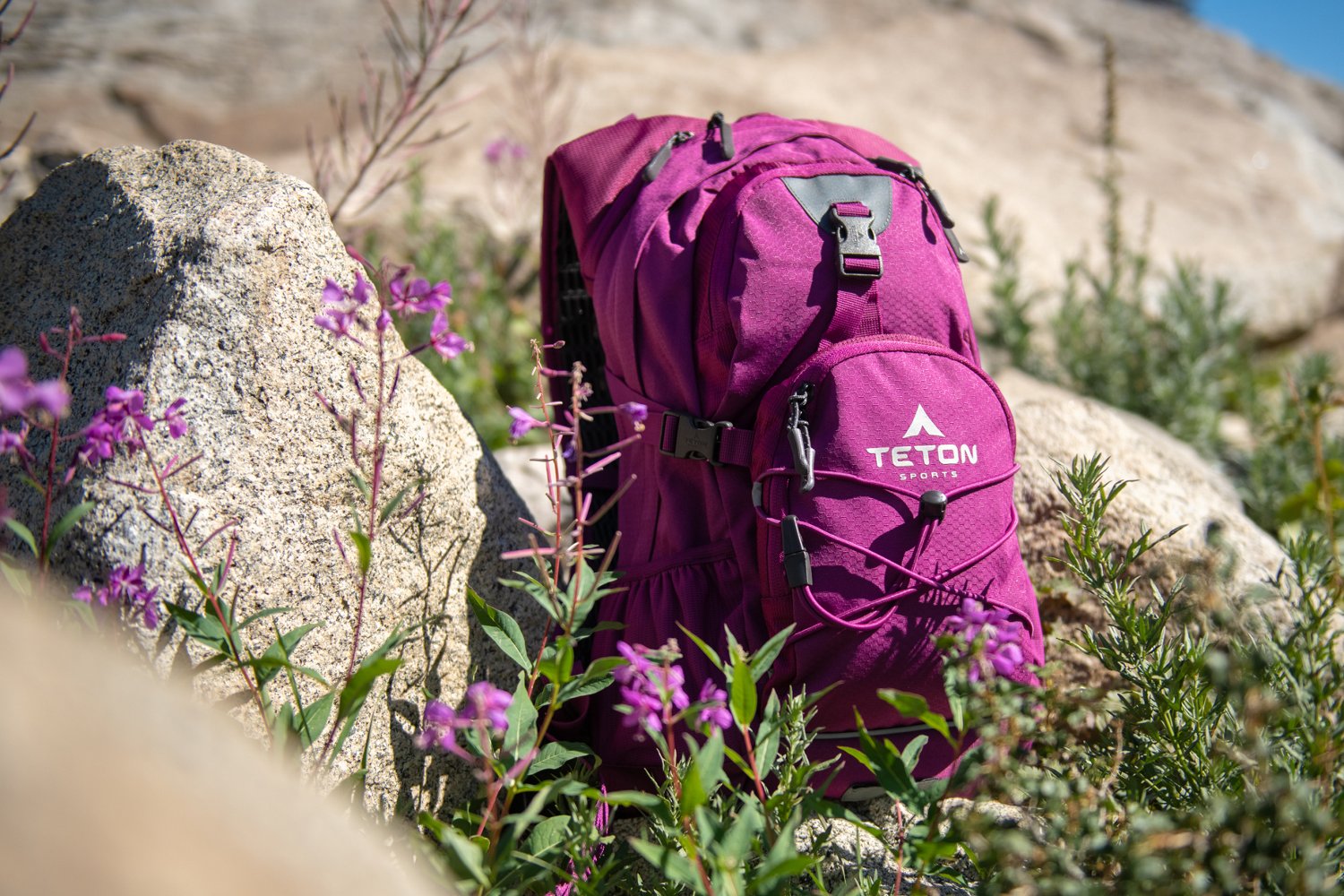 Teton Oasis 18L Hydration Backpack with 2L Bladder - view number 5