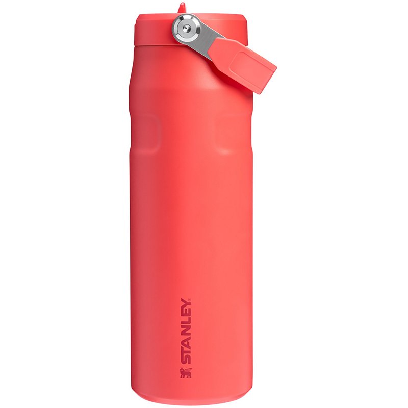 Stanley Iceflow 24 … - image