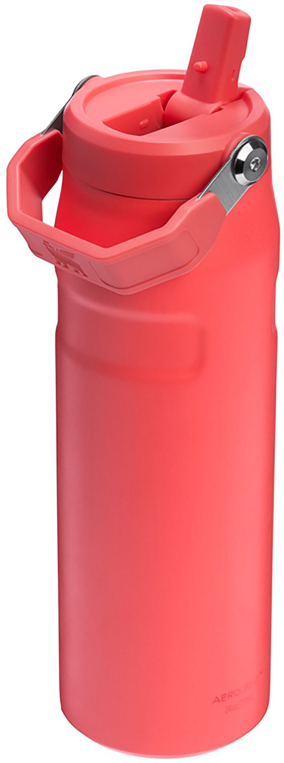 Stanley IceFlow 24 oz Bottle with Flip Straw Lid - view number 2