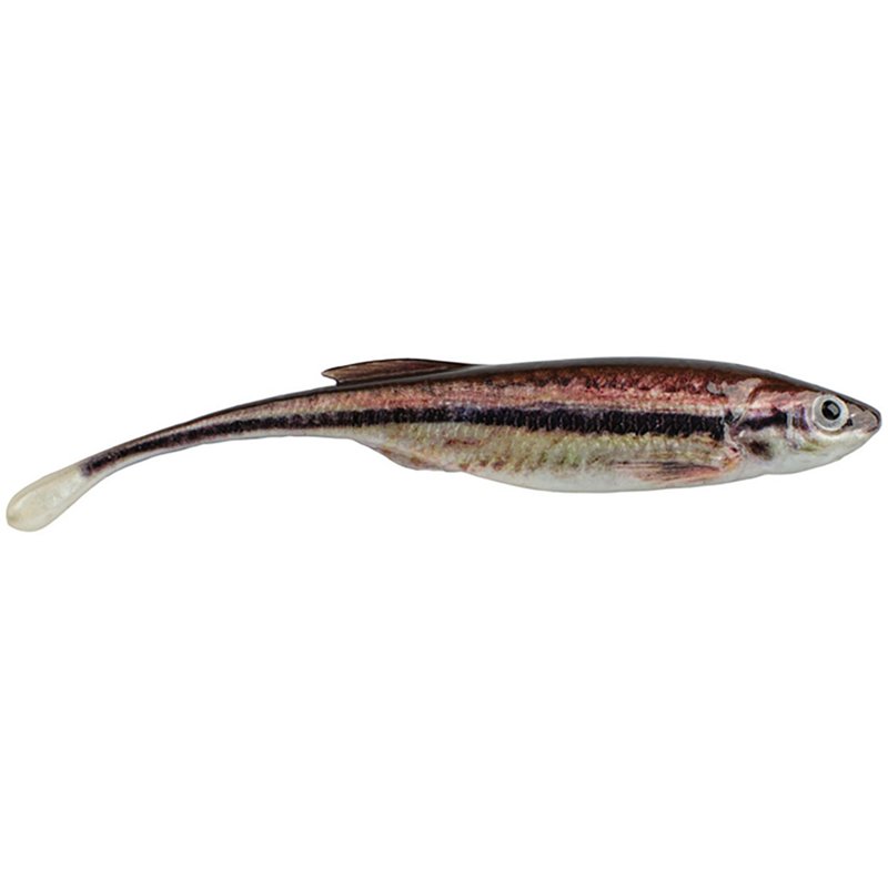 Photos - Lure / Spinner Berkley PowerBait Drip Minnow 5-Pack Shiner - Frsh Wtr Soft Plastic at Academy Sports PBDM4-HDBNS 