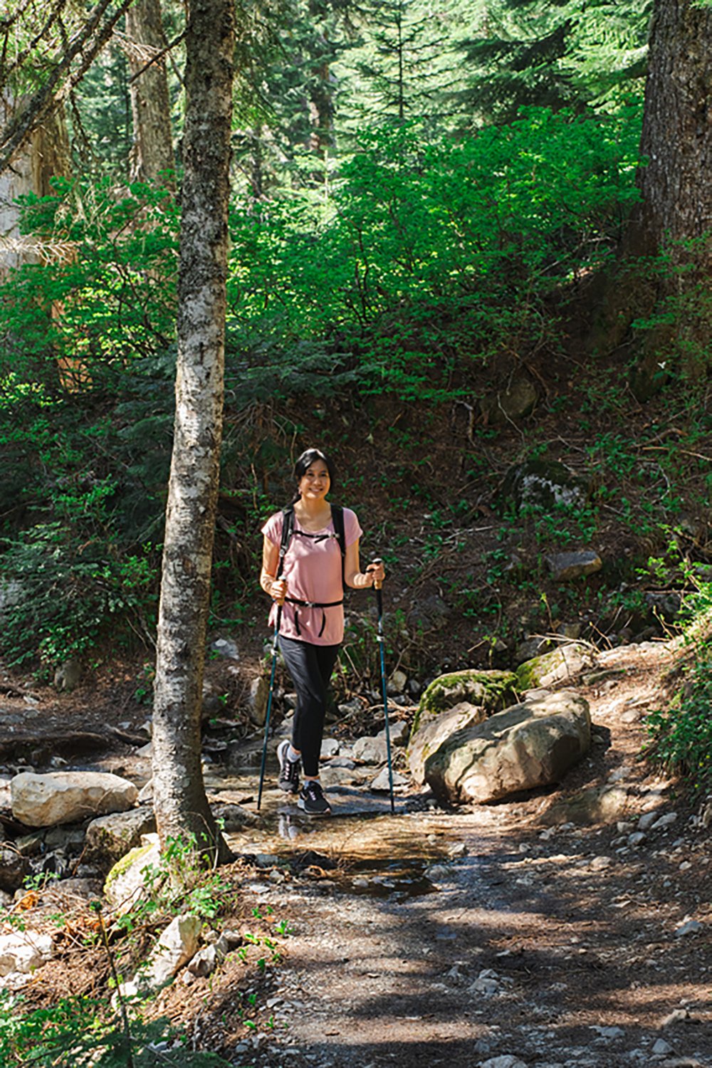 Cascade Mountain Tech Aluminum Folding Quick-Lock Trekking Poles with Cork Grip                                                  - view number 5