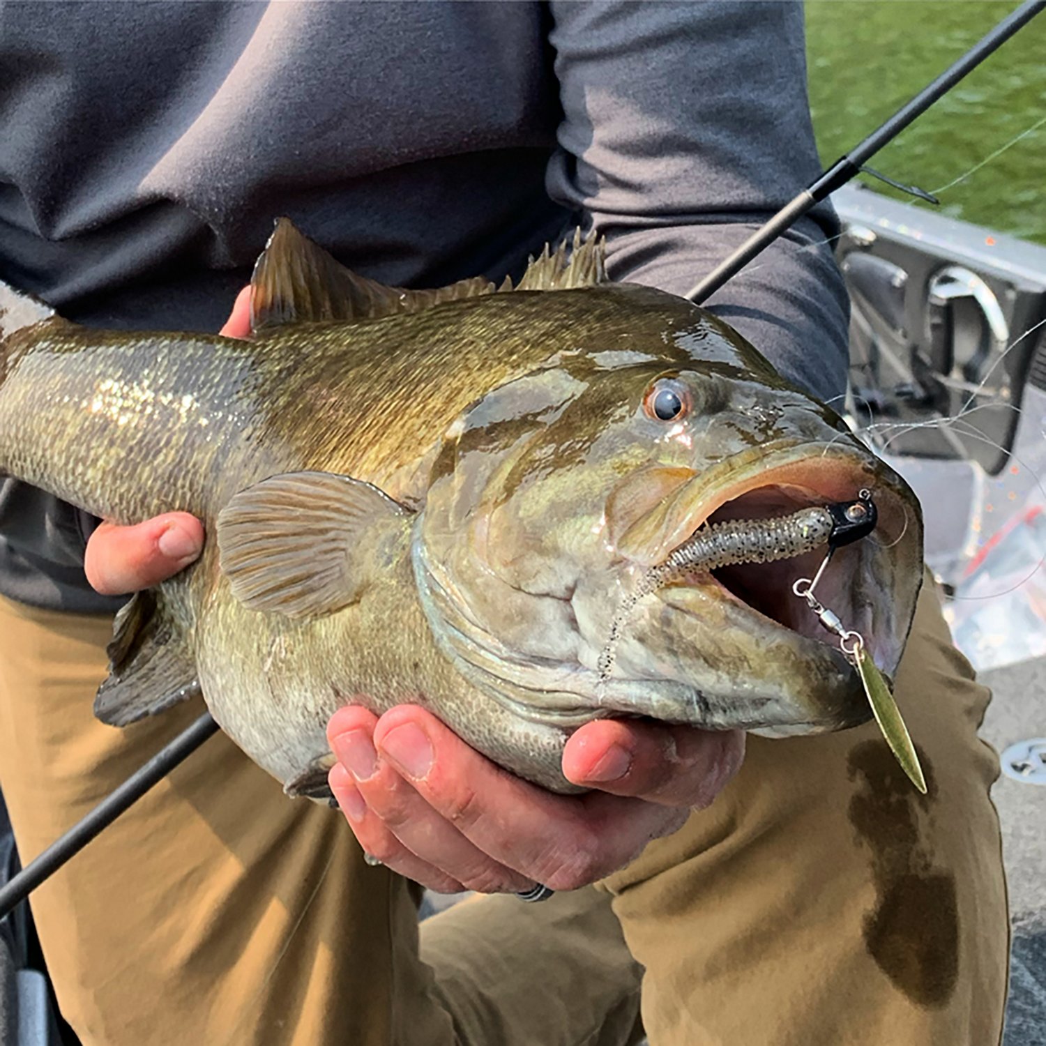 Great Lakes Finesse Drop Minnow Baits 8-Pack - view number 5