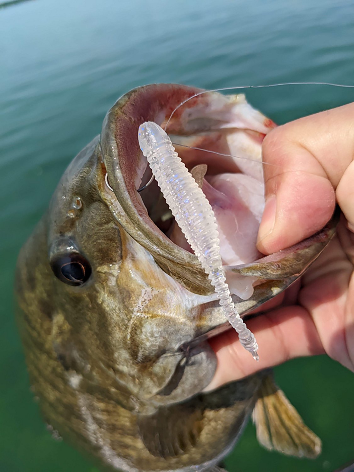 Great Lakes Finesse Drop Minnow Baits 8-Pack - view number 5