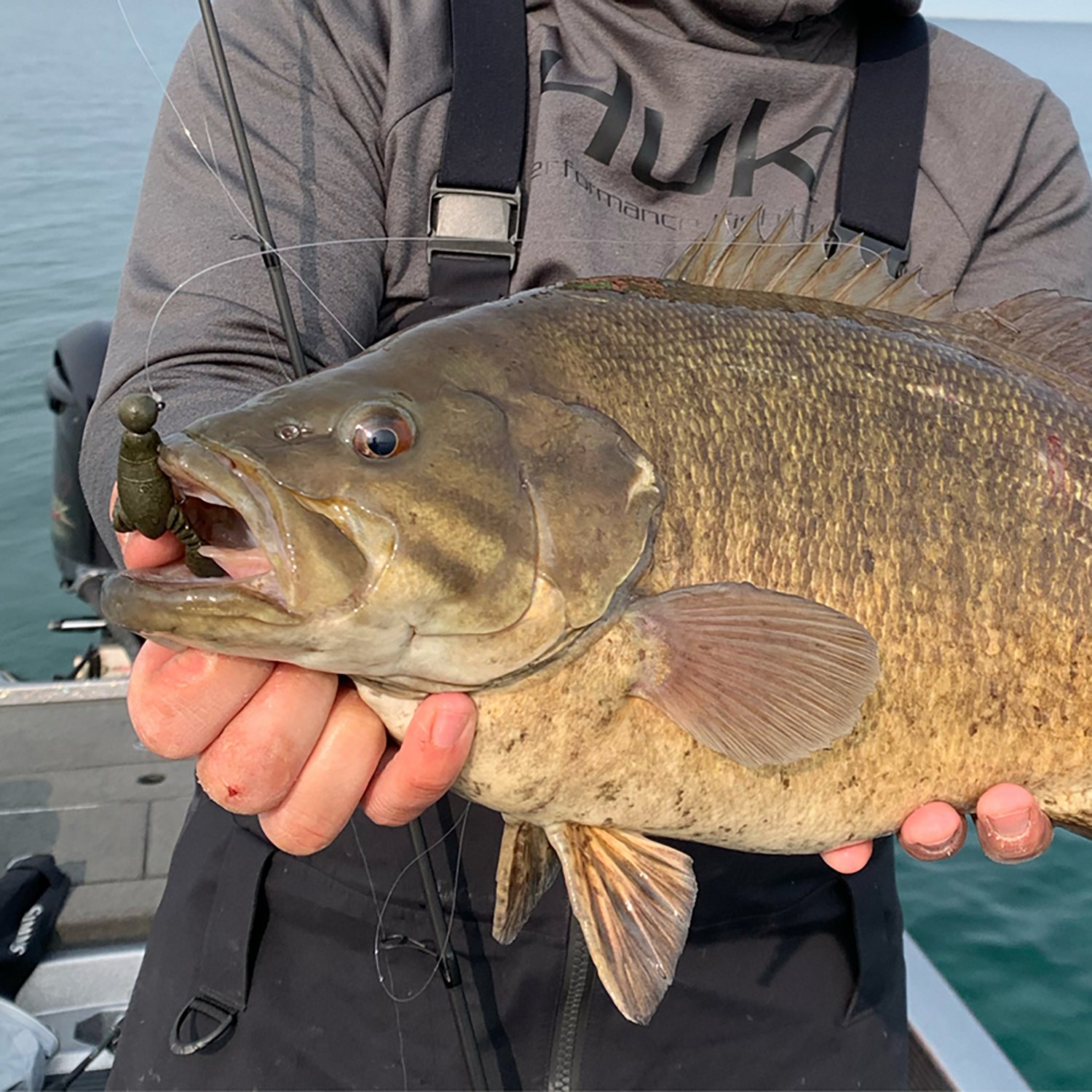 Great Lakes Finesse 2-1/10 in Floating Snack Craw - view number 8