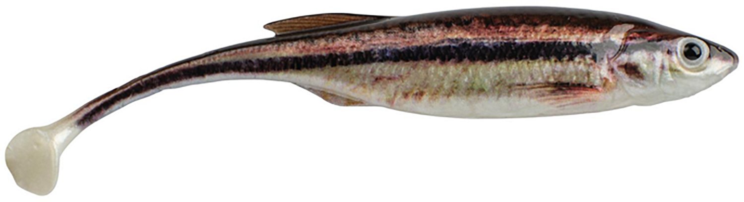 Berkley PowerBait Drip Swimmer 4-Pack