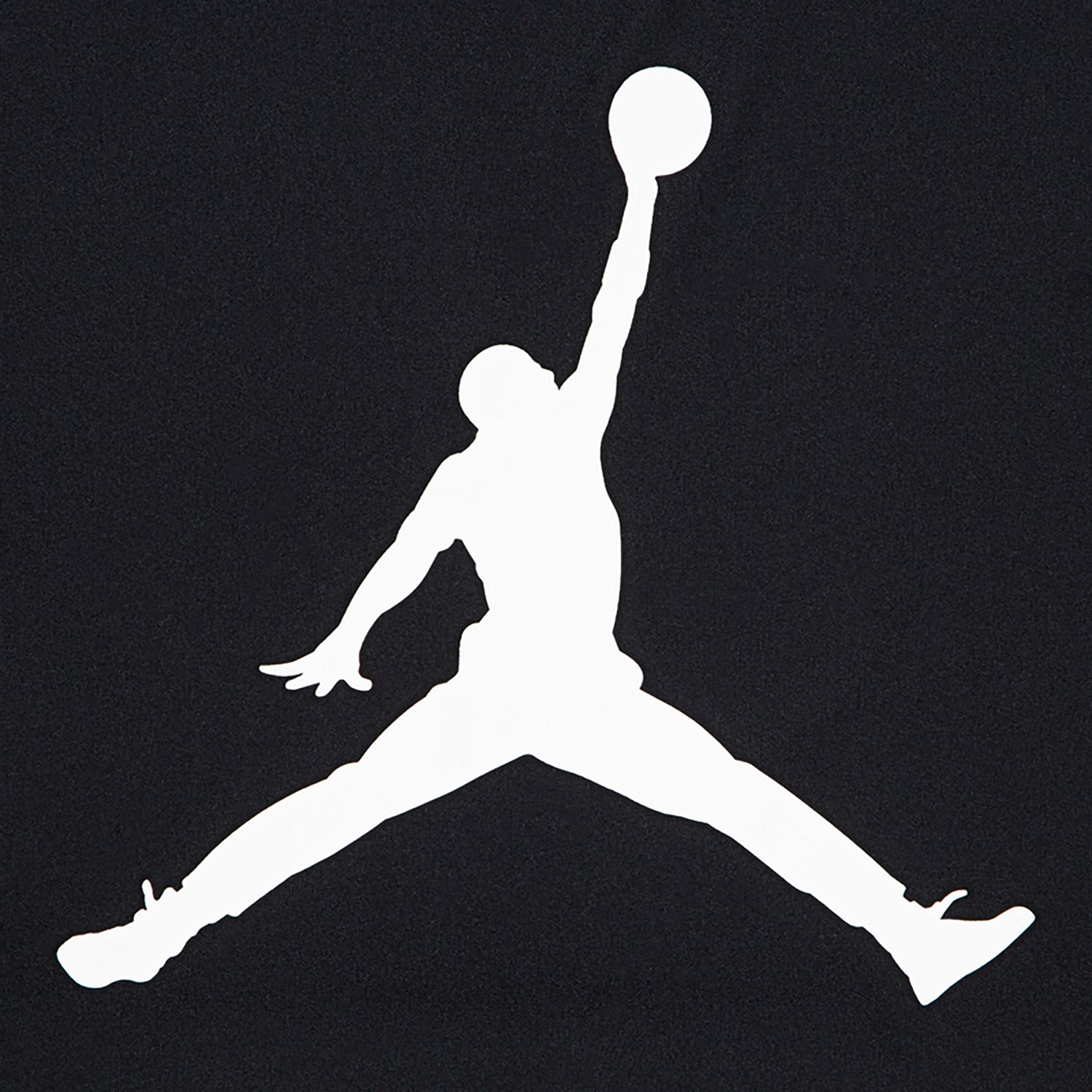 Jordan Boys' Jumpman Logo Dri-FIT T-Shirt - view number 3
