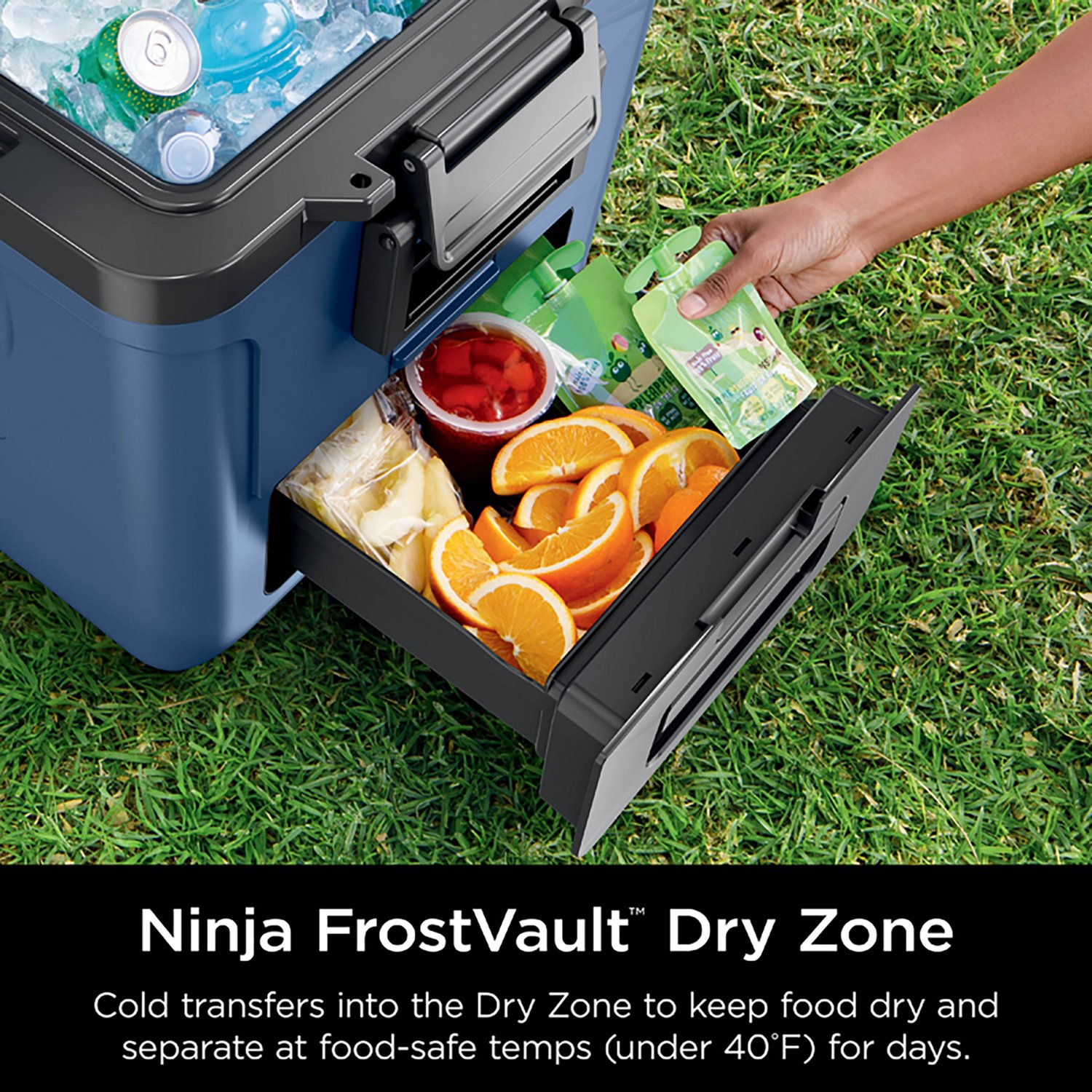 Ninja FrostVault 30qt Wheeled Cooler with Cold Dry Zone                                                                          - view number 7