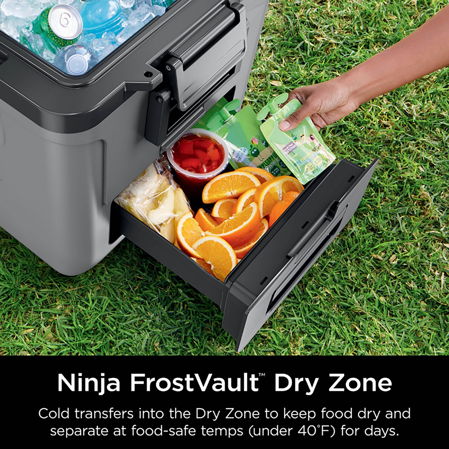 Ninja FrostVault 30qt Wheeled Cooler with Cold Dry Zone                                                                          - view number 7