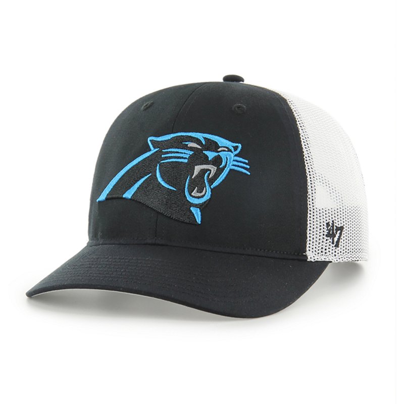 '47 Youth Panthers … - image