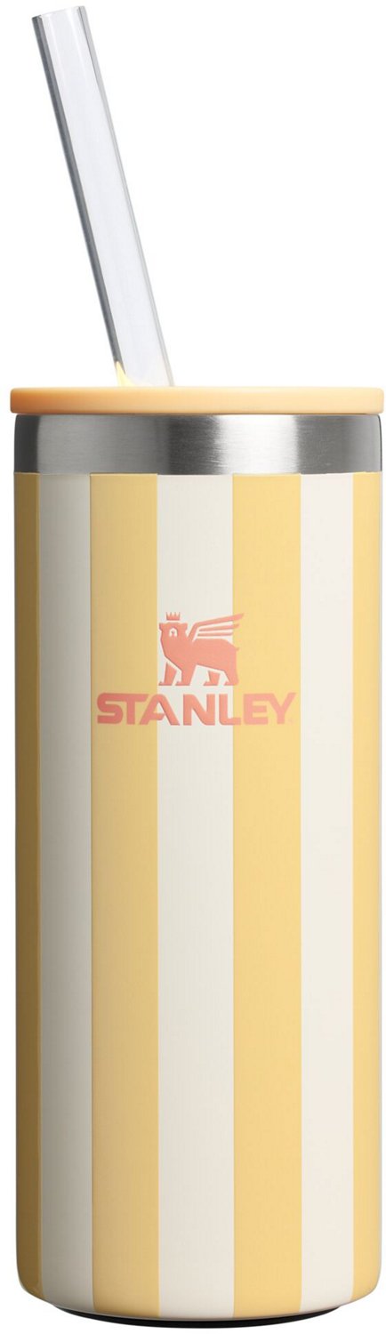 Stanley Everyday Slim Can 10 oz Cooler Oasis Cup
