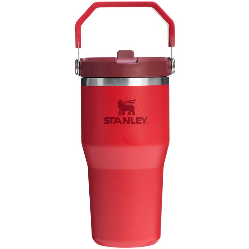 Stanley 20 Oz Icefl… - image