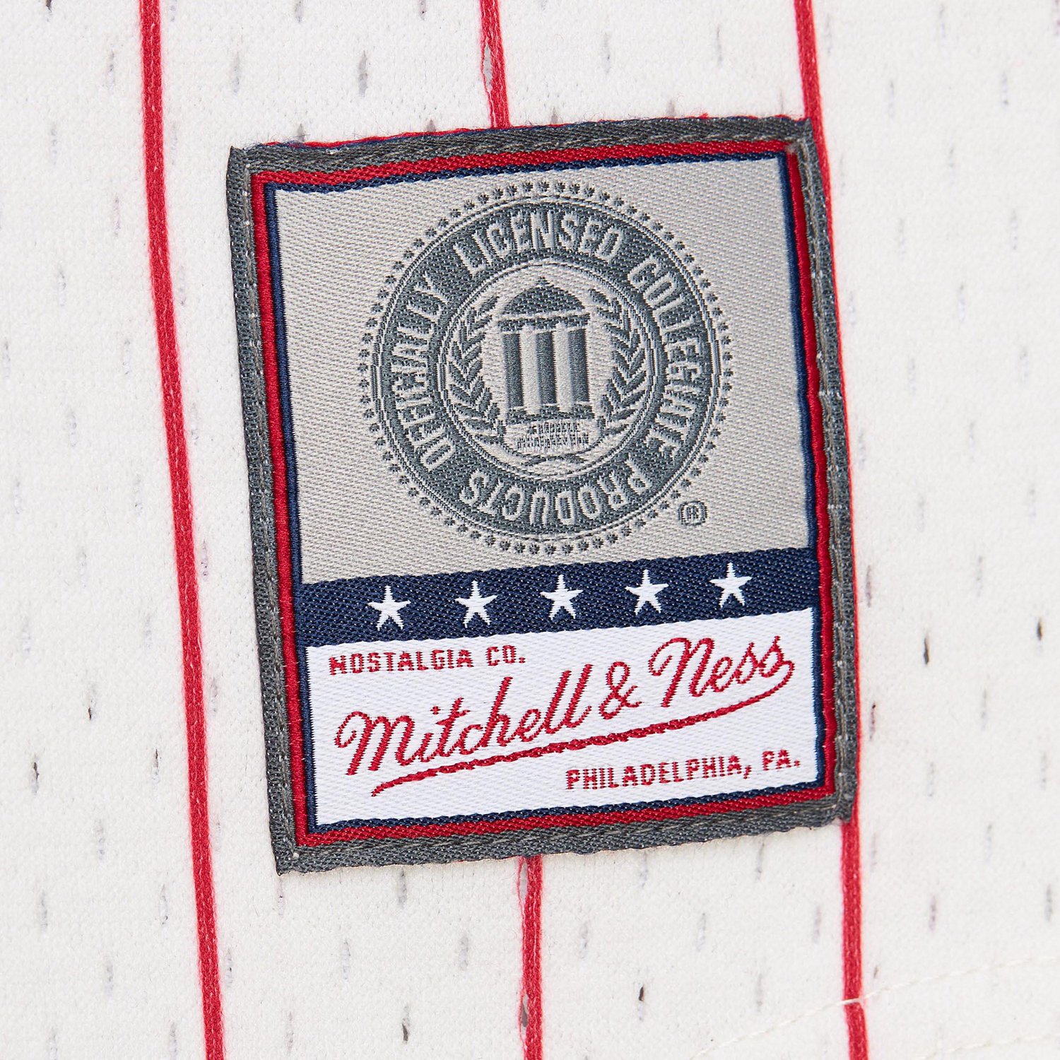 Mitchell & Ness Men's Arkansas Pinstripe Mesh V-neck Jersey                                                                      - view number 3