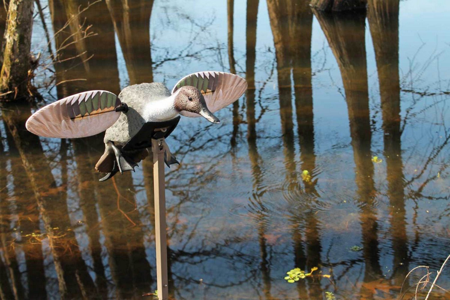 MOJO Elite Series Pintail Decoy - view number 2