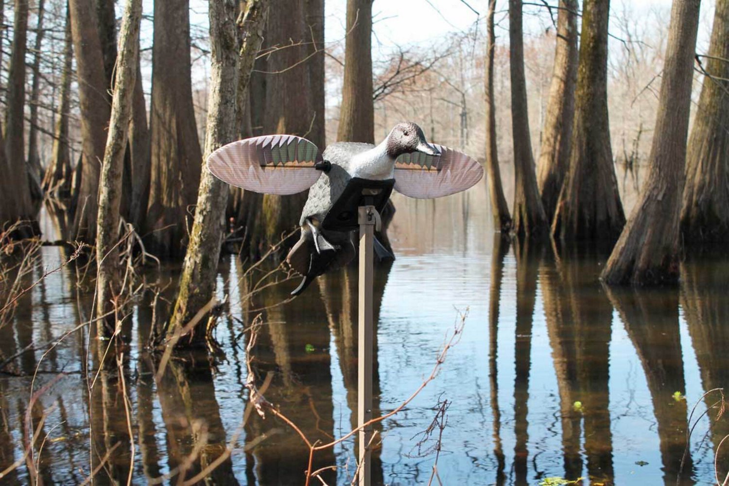 MOJO Elite Series Pintail Decoy - view number 3