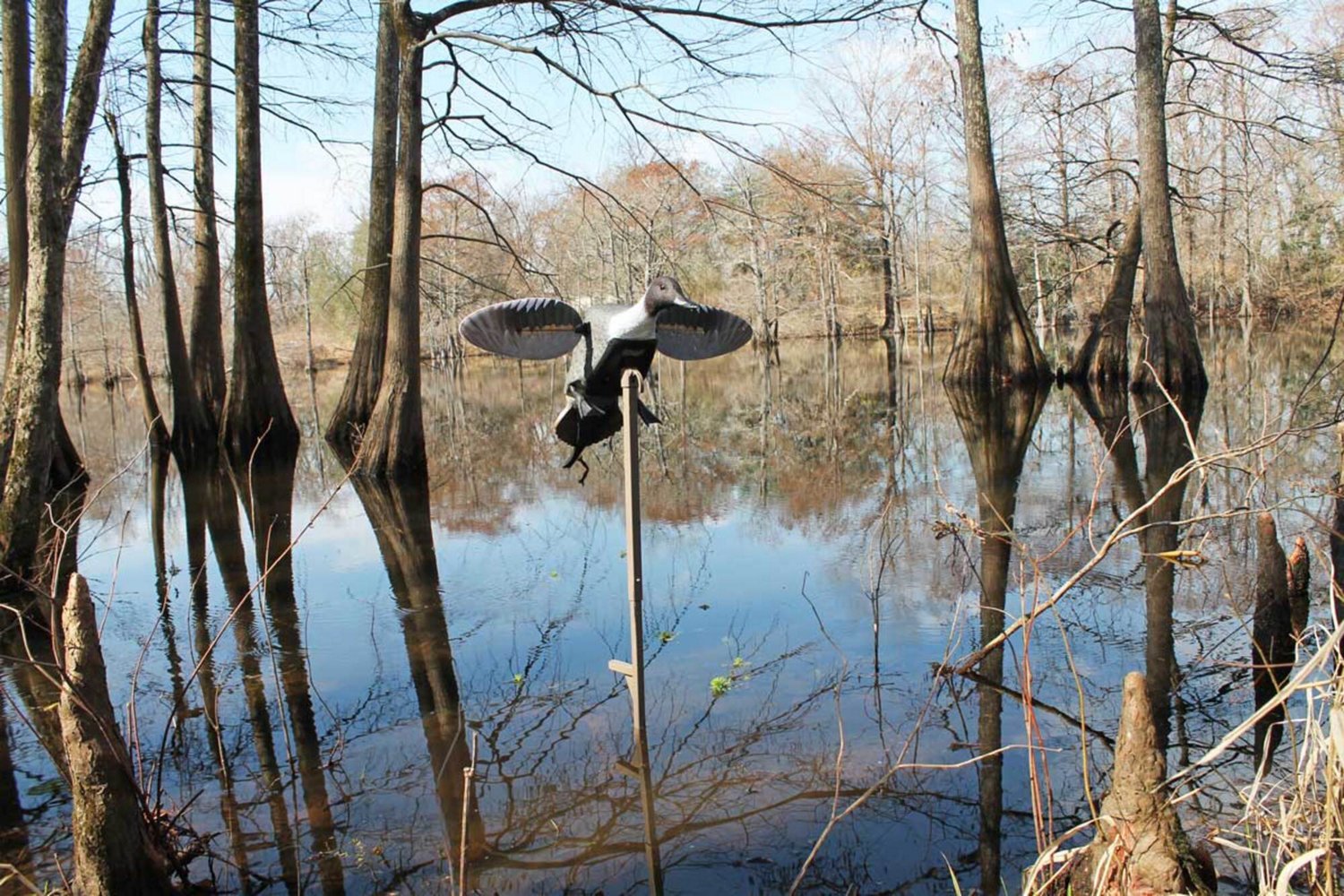 MOJO Elite Series Pintail Decoy - view number 4