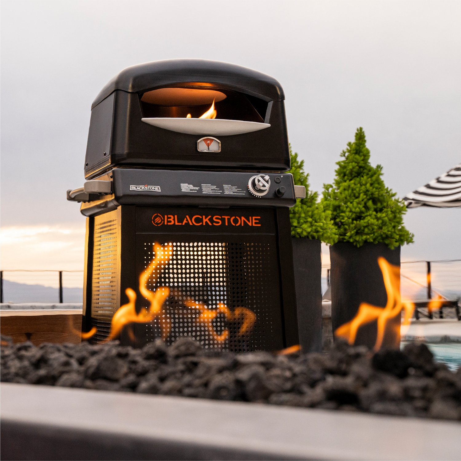 Blackstone Pizza Oven with Mobile Cart