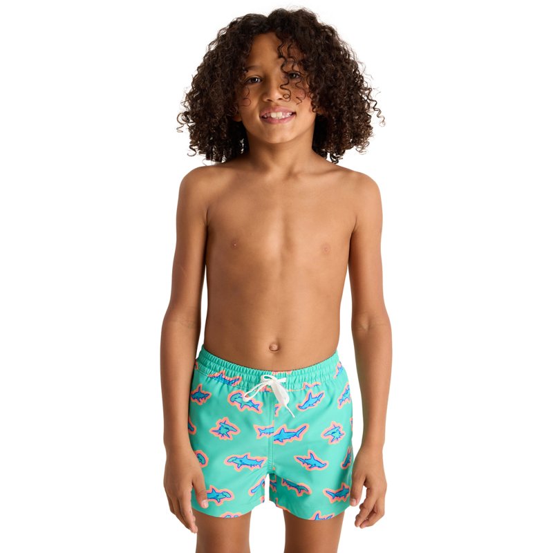 Chubbies Boys' Prin… - image
