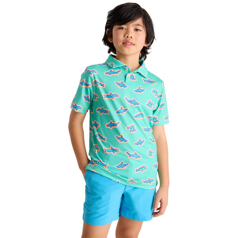 Chubbies Boys' Prin… - image