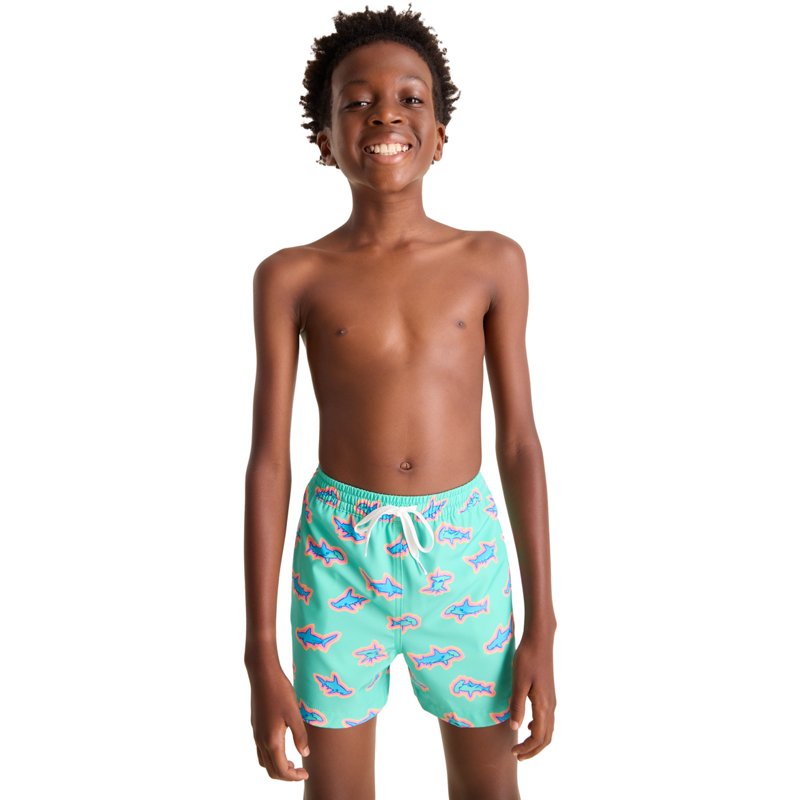 Chubbies Boys' Prin… - image