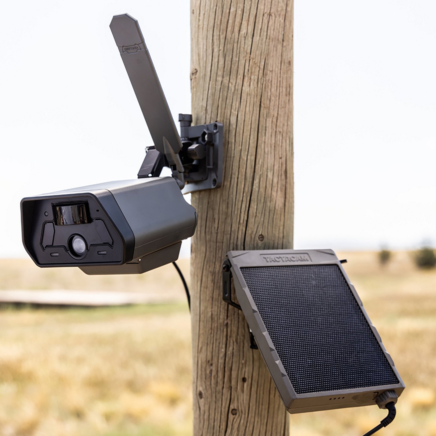 Tactacam Defend Solar Panel