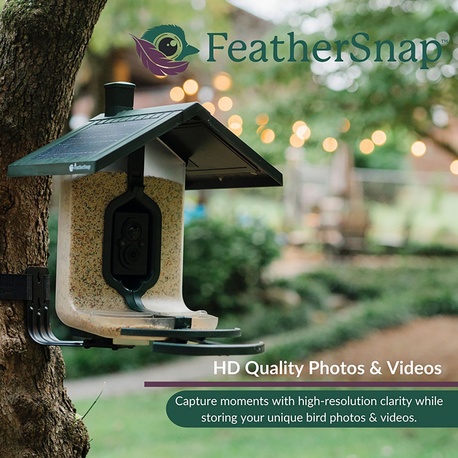 FeatherSnap Scout WiFi Smart Bird Feeder - view number 5