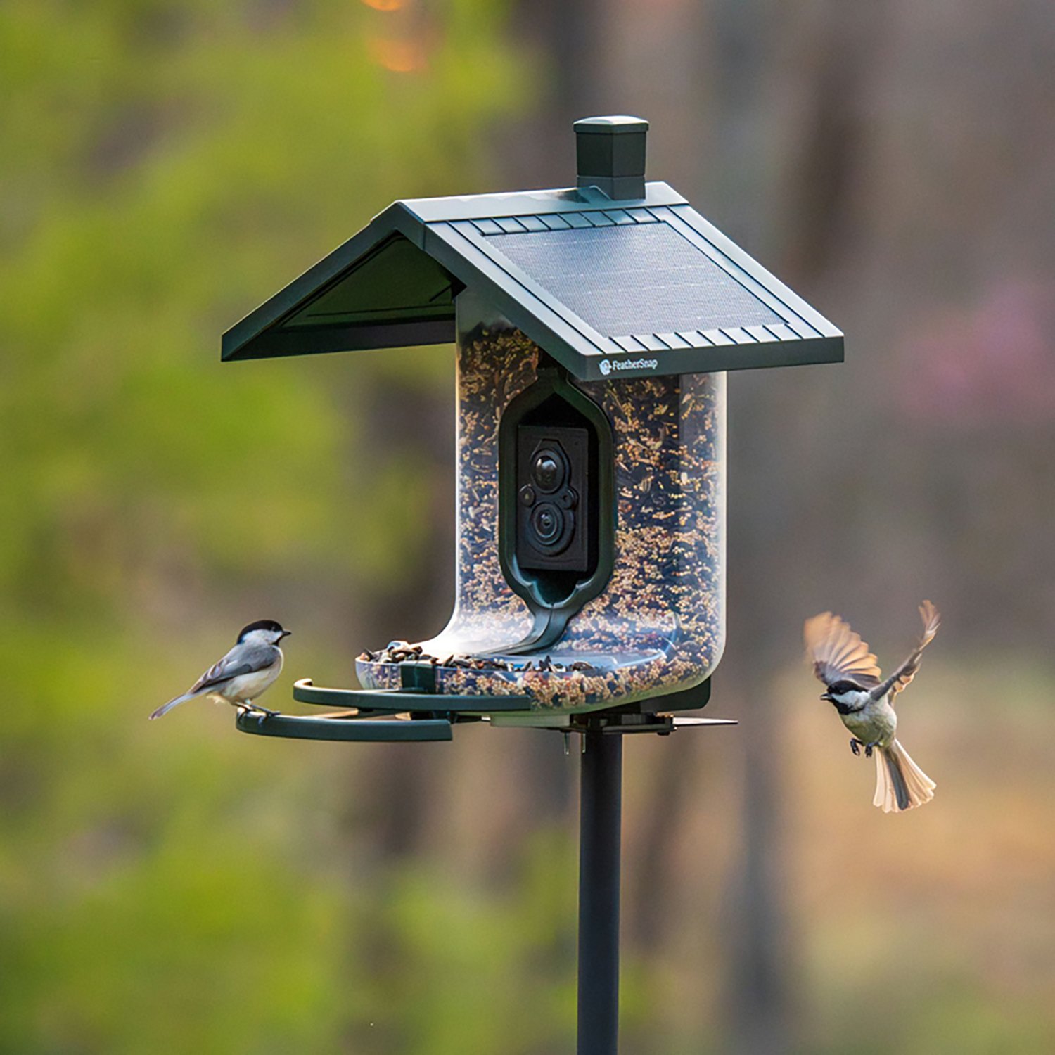 FeatherSnap Scout WiFi Smart Bird Feeder - view number 8