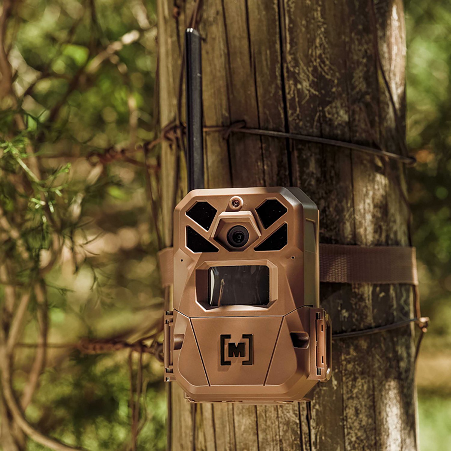 Moultrie Edge 3 40.0 MP Trail Cameras 2-Pack - view number 7