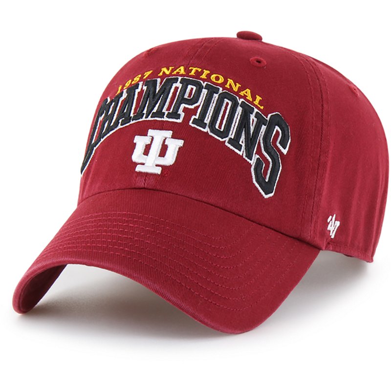 47 Adults' Indiana … - image