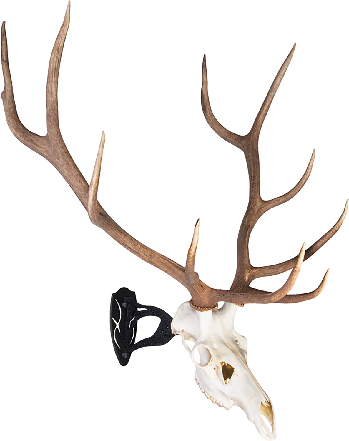 Skull Hooker Big Hooker Long Arm Wall Skull Hanger - view number 3