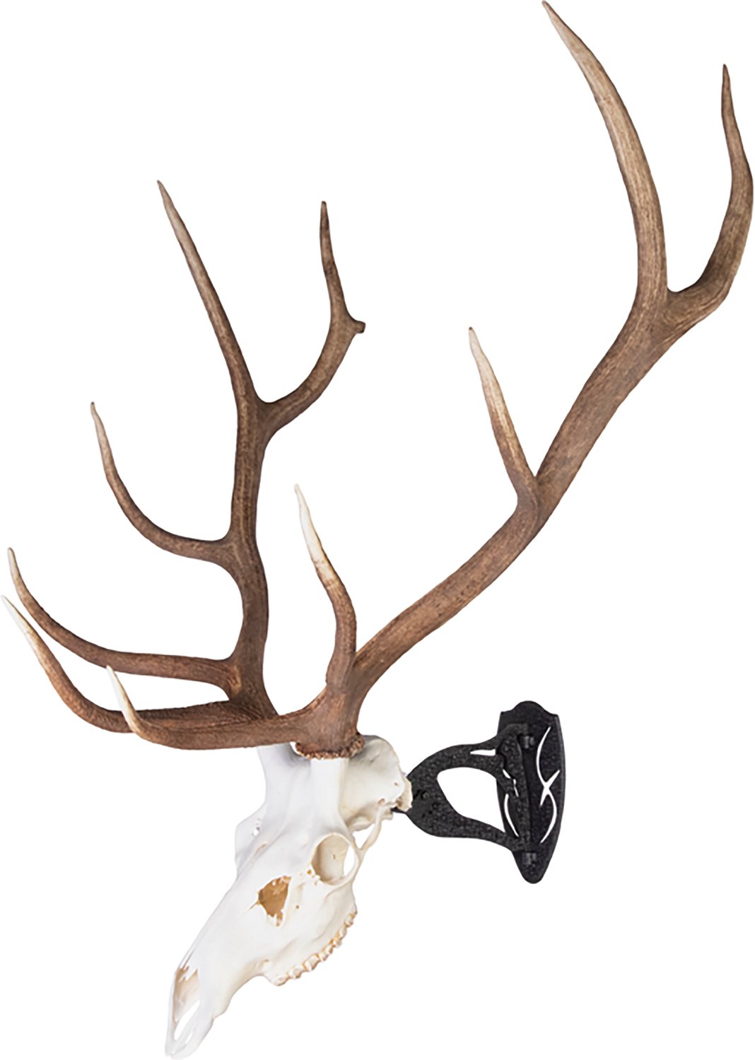 Skull Hooker Big Hooker Long Arm Wall Skull Hanger - view number 4