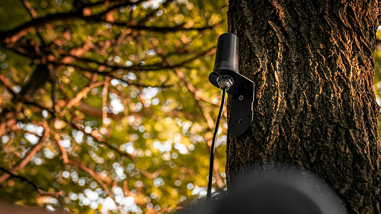 SpyPoint CA01 Long Range Cellular Antenna                                                                                        - view number 5